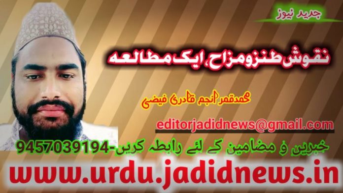 نقوش طنزومزاح، ایک مطالعہ